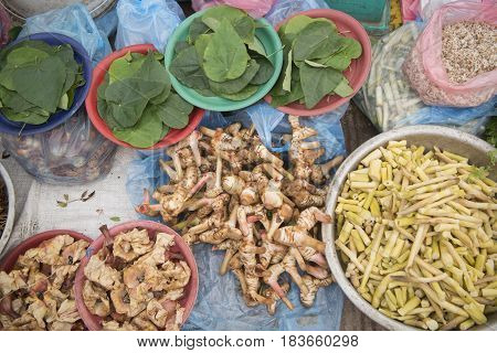Laos Vientiane Talat Sao Market Fegetable