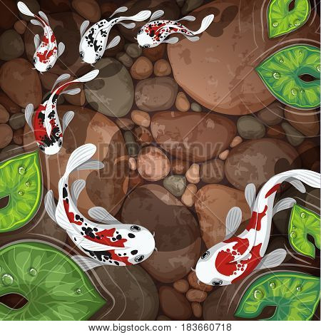 carps koi fish underwater pond vector illustration