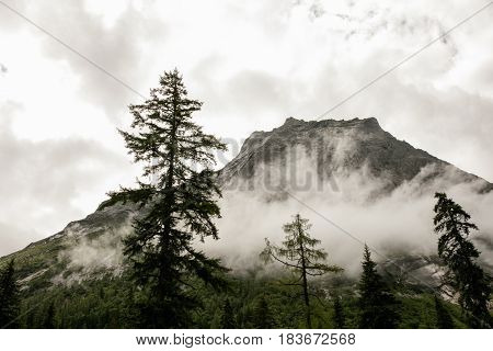 Mt Siguniang scenery in Sichuan of China