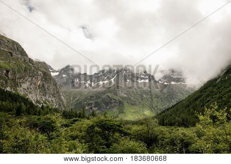 Mt Siguniang scenery in Sichuan of China
