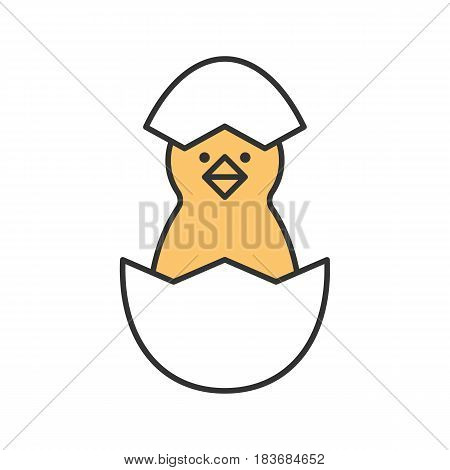 Newborn chicken color icon. Nestling in egg shell. Isolated vector illustration