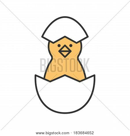 Newborn chicken color icon. Nestling in egg shell. Isolated vector illustration