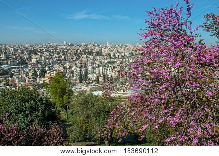 Spring views of the holy city Jerusalem