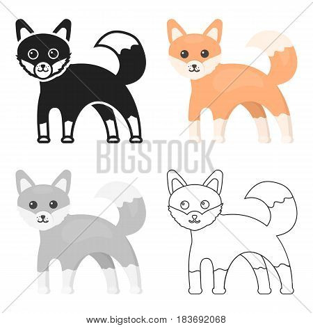 Fox icon cartoon. Singe animal icon from the big animals cartoon.