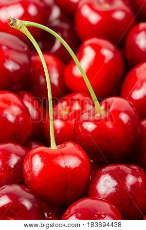 Cherry berries suumer fruit background close up