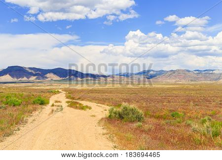 Path Into The Desert