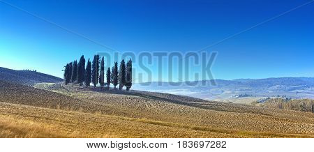 Desert landscape of Tuscany. Kind of lonely cypress.