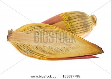 Closeup cross section of fresh raw banana blossom with maroon purplish flowers cut in half isolated on white background