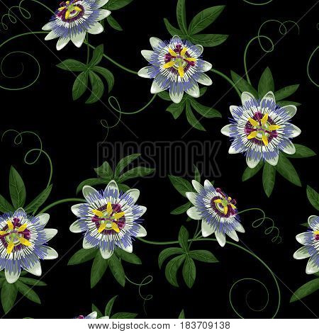Passiflora seamless pattern. Wallpaper with exotic branch isolated on black. Background for wedding invitations, greeting cards.