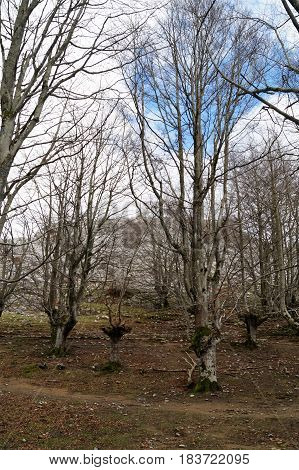 Views of Mount Gorbea, Alava and Vizcaya, Basque Country, Spain