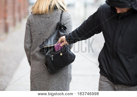 Close-up Of A Person Stealing Purse From Handbag