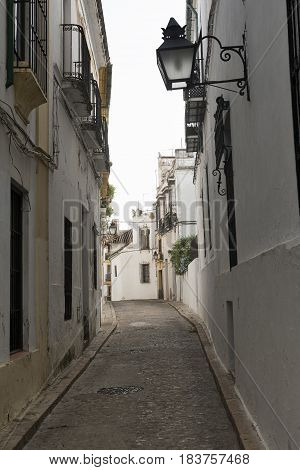 Cordoba (Andalucia Spain): old typical street in the Juderia