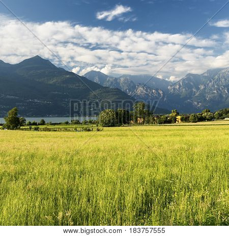 Colico (Lecco Lombardy Italy) and the lake of Como (Lario) at summer