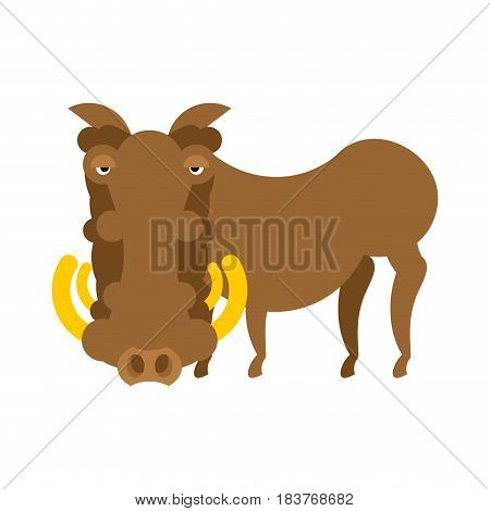 Warthog Wild Boar Isolated. African Pig. Wild Animal On White Background