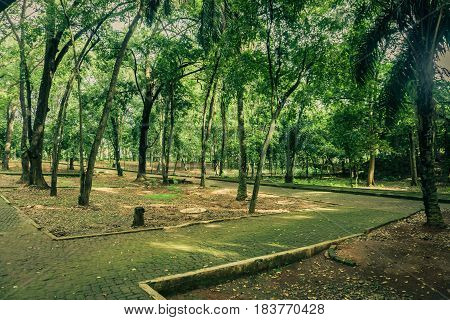 Beautiful green garden with pavement track surrounding by trees photo taken in Ragunan zoo Jakarta Indonesia java