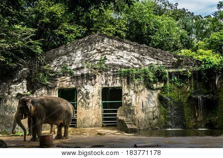 elephant's cage with little waterfall and pond photo taken in Ragunan zoo Jakarta Indonesia java