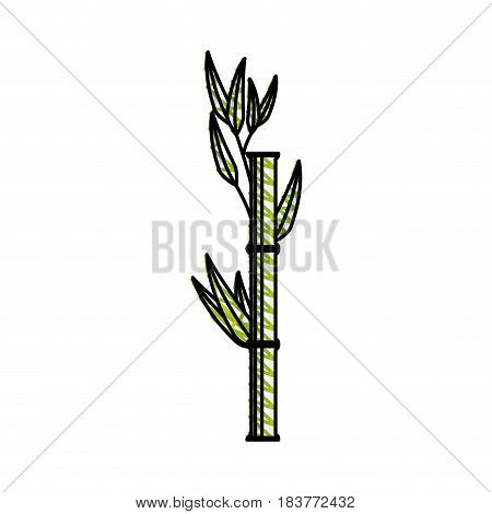 Bamboo japanese tree icon vector illustration graphic design