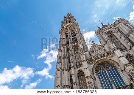 Belfry Tower In Antwerp