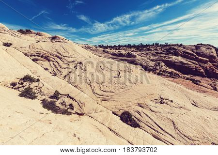 Sandstone formations in Utah, USA. Yant flats