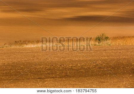 Freshly ploughed agricultural land. Large-scale production agribusiness food production concept and textured background with copy space.