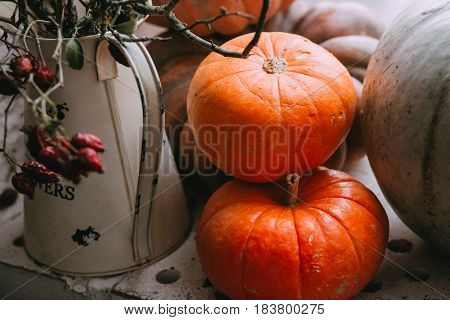 Rero fall stillife with pumpkins and vase for background