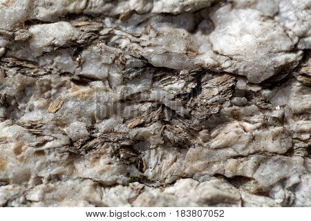 Macro photo of weathered mica minerals in coarse grained quartz rock.
