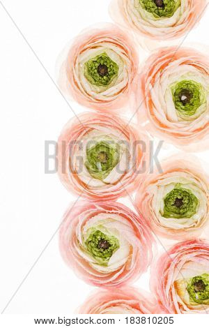 spring flowers