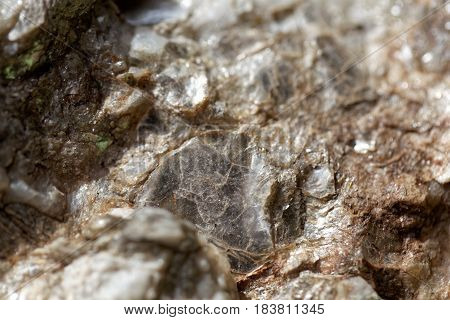 Macro photo of weathered mica minerals in coarse grained quartz rock.