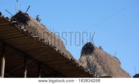 Detail of grass rooftops at Bena a traditional village with grass huts of Ngada people in Flores near Bajawa Indonesia.