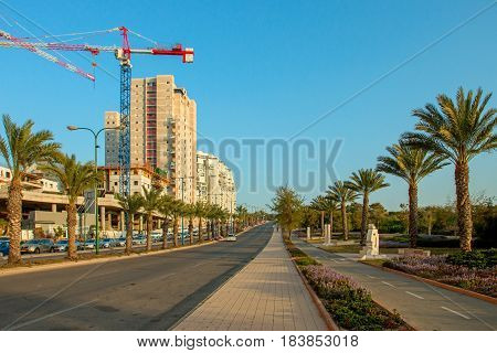 Ashkelon on summer street with palm trees