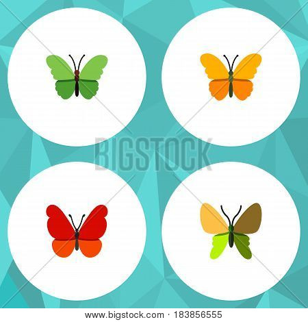 Flat Moth Set Of Beauty Fly, Butterfly, Milkweed And Other Vector Objects. Also Includes Milkweed, Moth, Butterfly Elements.