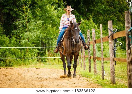Taking care of animals horsemanship western competitions concept. Cowgirl doing horse riding on countryside meadow sunny day outside