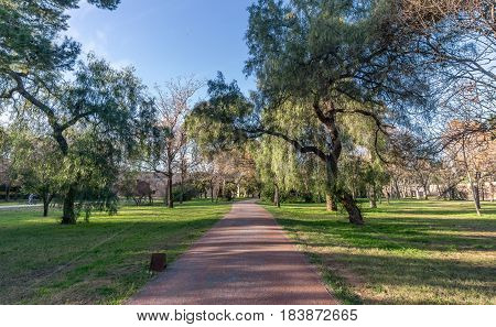 Beautiful landscape of Old dry riverbed of the River Turia gardens, Jardin del Turia, leisure and sport area in Valencia, Spain, trees and running way