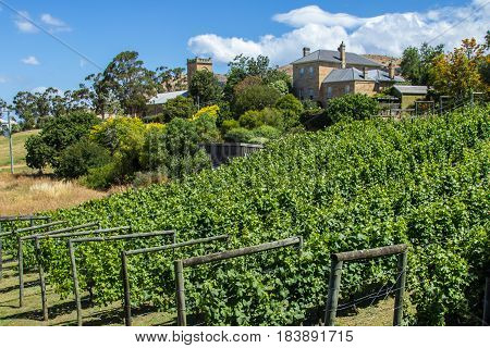Richmond Tasmania Australia - December 21 2016: Richmond vinyard and winery