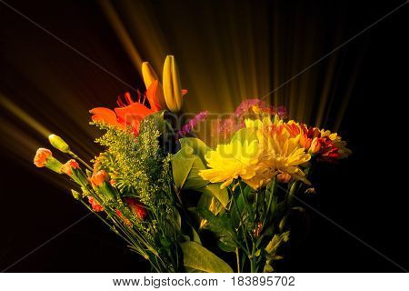Flower bouquet Beauty brought out by special lighting and filtering techniques.
