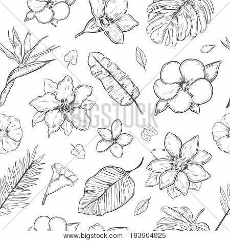 Hand drawn exotic plants seamless pattern with beautiful natural flowers and leaves in monochrome style vector illustration
