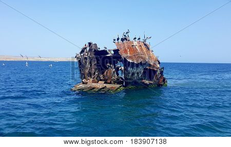 Shipwrecked boat near Cabagua island (Venezuela). There are some seabirds above the rusty abandoned ship.