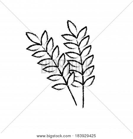 figure healthy wheats organ plant nutricious, vector illustration