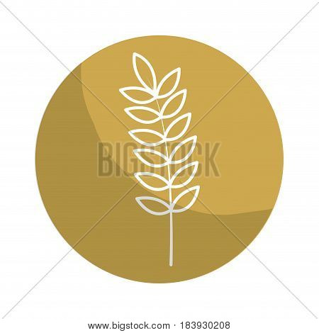 sticker healthy wheat organ plant nutricious, vector illustration