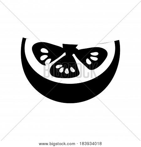 contour fresh piece of limon organ vegetable, vector illustration