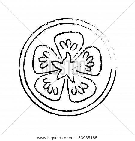 edge fresh slice limon organ vegetable, vector illustration