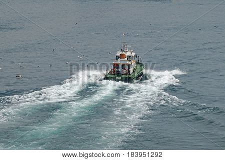 Seagulls surrounded the fishing boat in the sea. The ship quickly swims into the Bosphorus Strait.