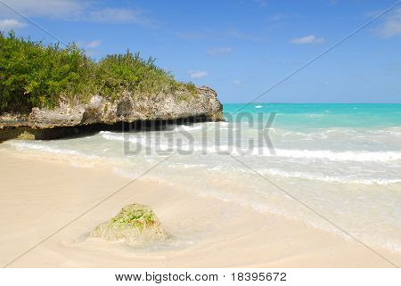 Mangrovie e rocce sulla spiaggia tropicale di Cayo las Brujas su Caraibi isola di Cuba