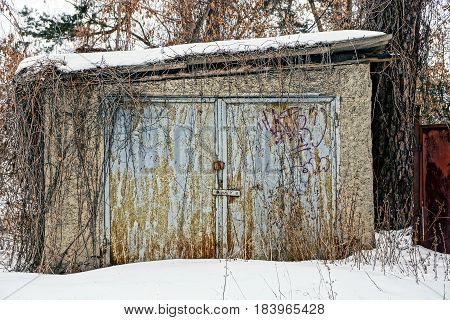 an old garage is copsy dry plants in to snow