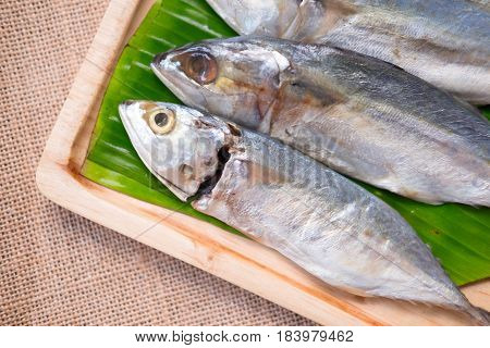 Fresh of Thai mackerel fish on wood tray ready to Thai style cook