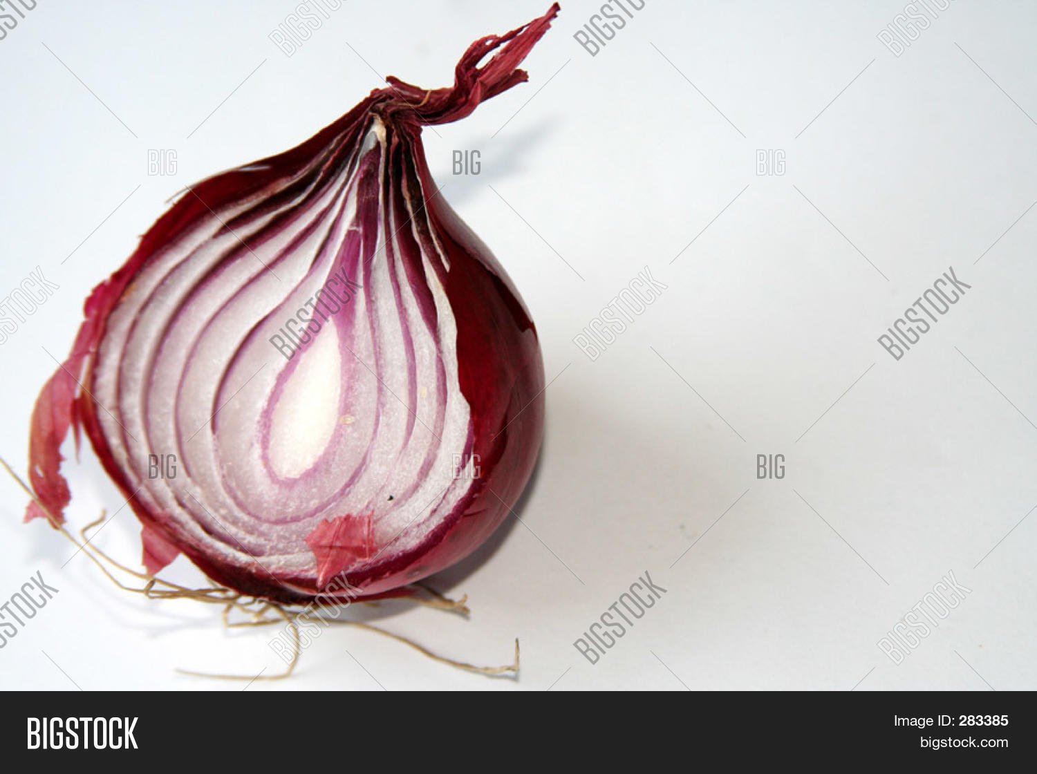 Half Onion Image & Photo (Free Trial) Bigstock
