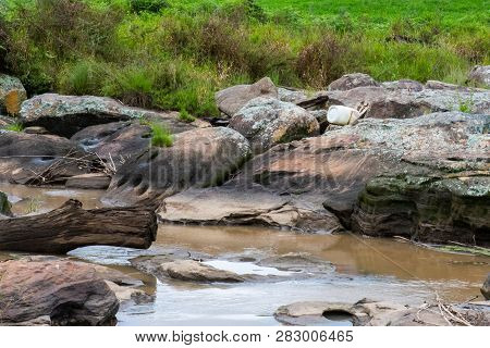 A Plastic Container Washed Up On The Rocks Of The Karkloof River, Natal Midlands, South Africa.