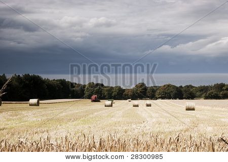 Széna bálák és a cloud