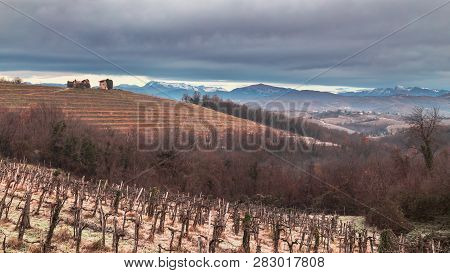 Cold Misty Morning In The Vineyards Of Italy