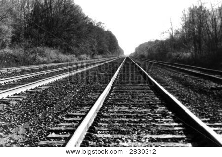 Linie